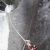 Canyoning in Lombardia