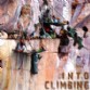 Siebe Vanhee, tournée Into Climbing