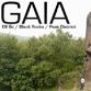 Vidéo de Florian Castagne dans Gaia, E8/6c